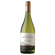 Sauvignon Blanc