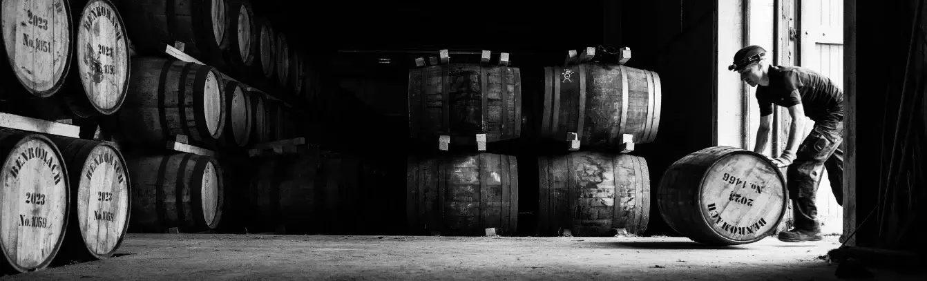 Benromach whiskeys